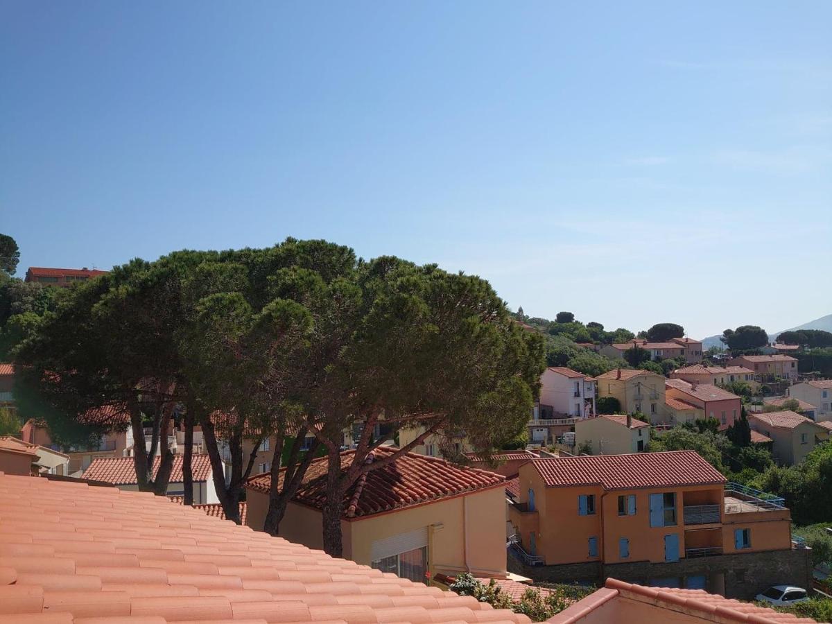 4Ro501 Appartement Avec Belle Terrasse Collioure Esterno foto